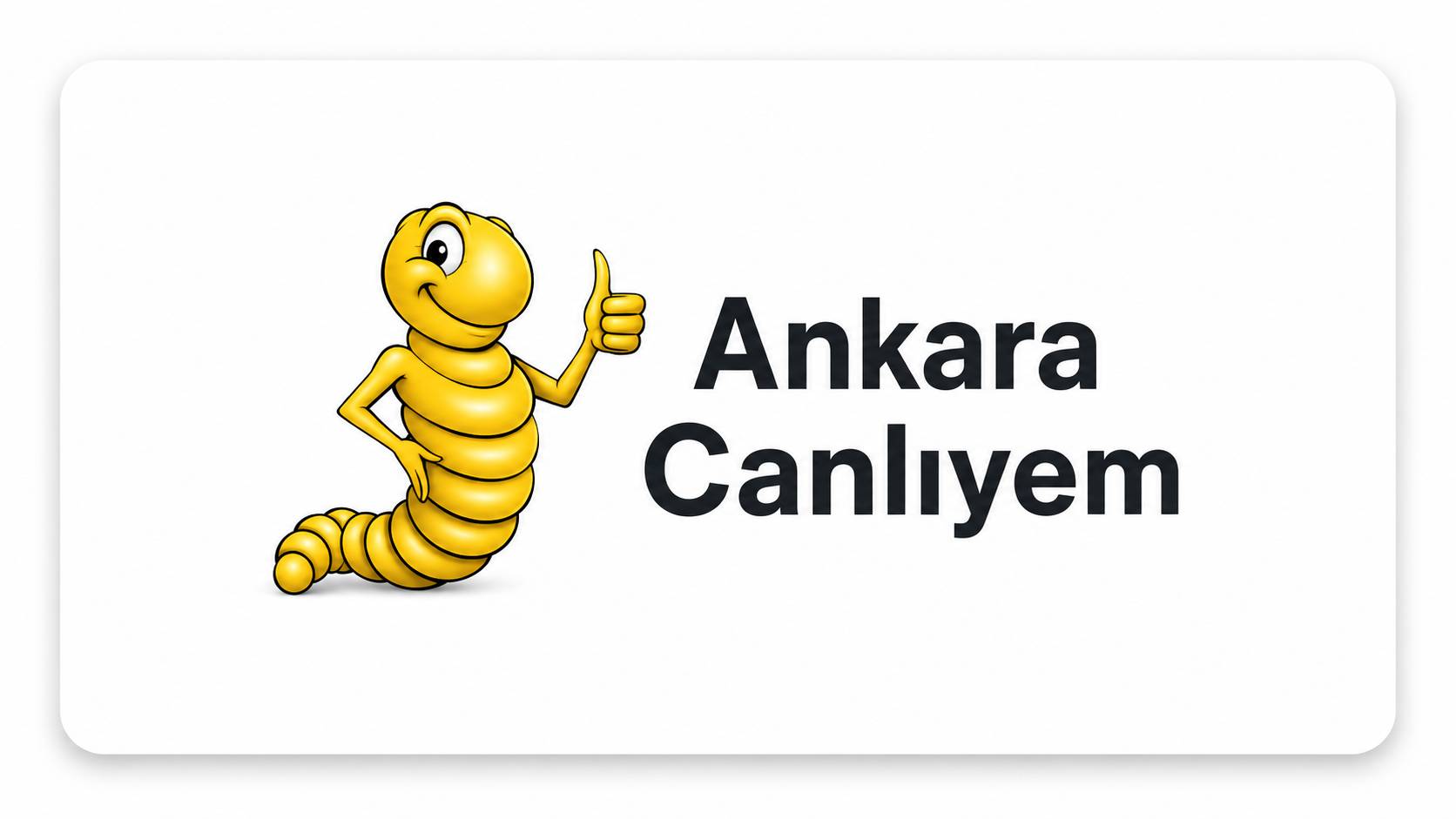 ankara canlı yem online satışı